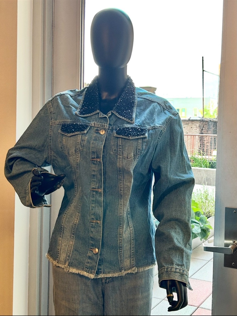 At Last Brazil • Jean Jacket • stone embroidered • GG (XL) • rings not included